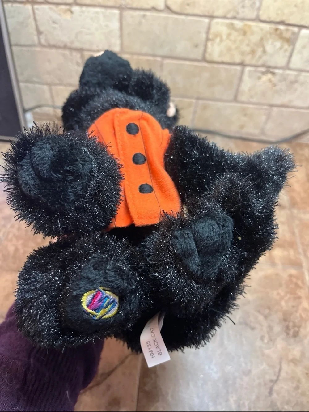 webkinz black cat